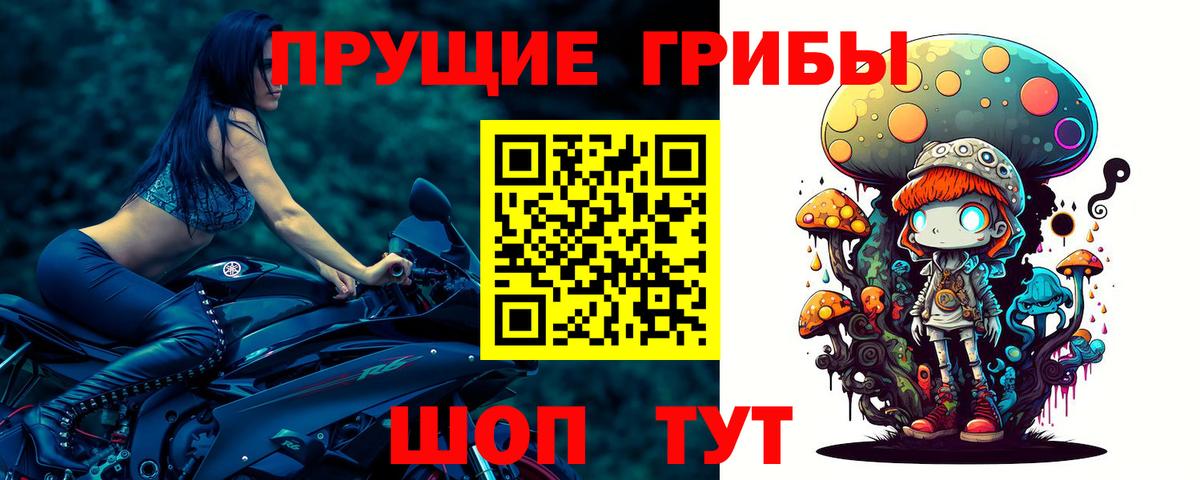 Галлюциногенные грибы мухоморы  Вход с VPN  Галлюциногенные грибы Psilocybine cubensis  Лобня 